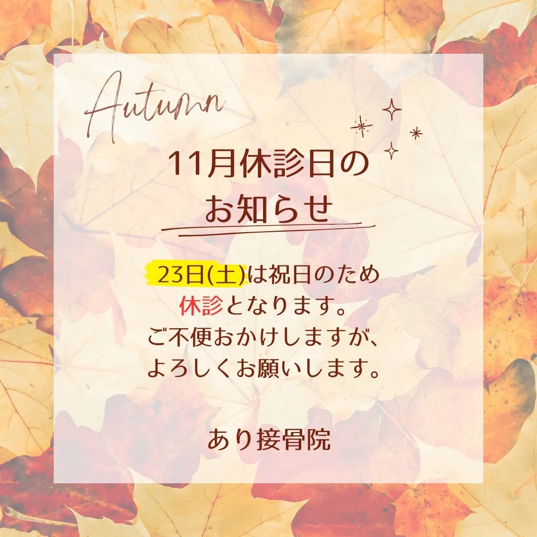 11月お休みのお知らせ🍁