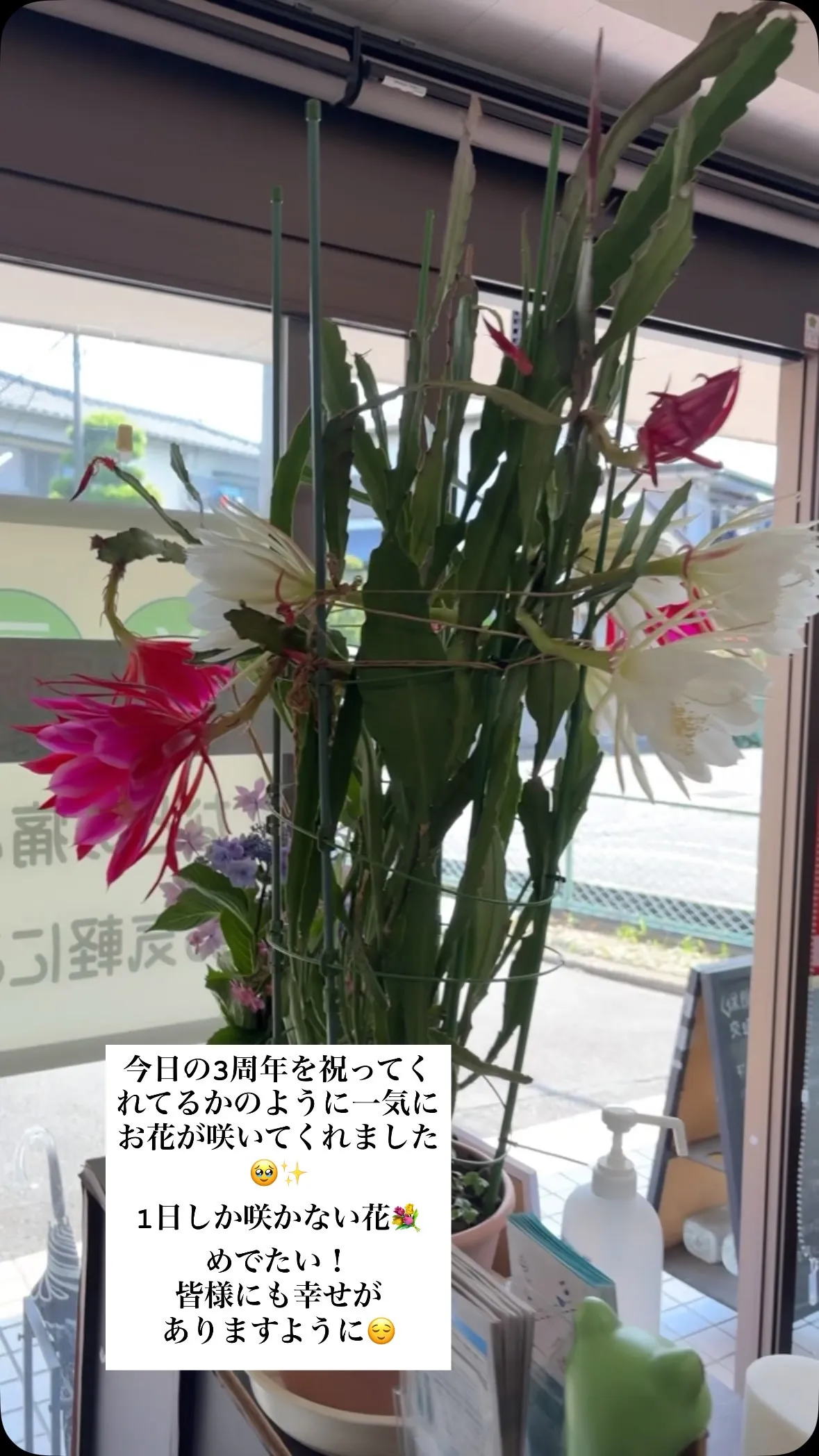 #沼津#接骨院